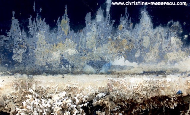 Blue Forest
