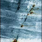 Diagonale