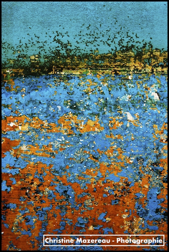Les Oiseaux