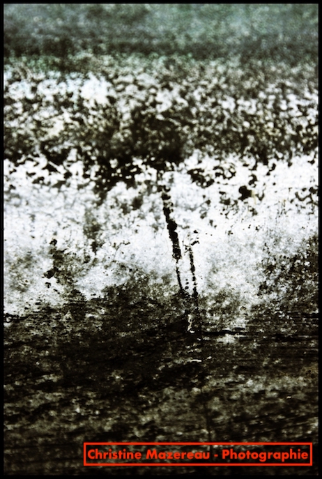 Macadam