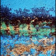 Oiseaux 2