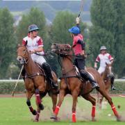 Polo 1