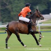 Polo 3