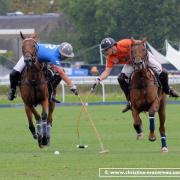 Polo 4