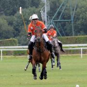 Polo 5