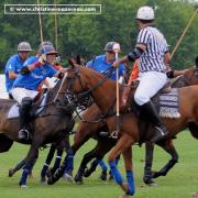Polo 6