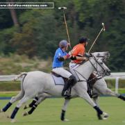 Polo 7