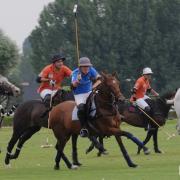 Polo 8