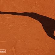 Ombre et Tennis