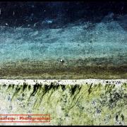 Steppe bleue